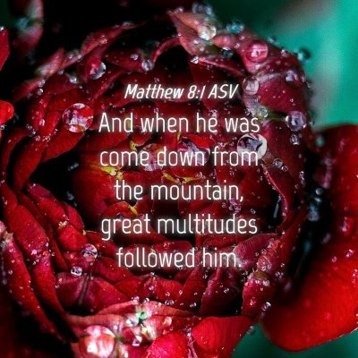 Picture 04 - Matthew 8:1 ASV - And when he was come down from the mountain, - Bible Verse Picture