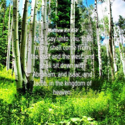 Picture 04 - Matthew 8:11 ASV - And I say unto you, that many shall come from the - Bible Verse Picture