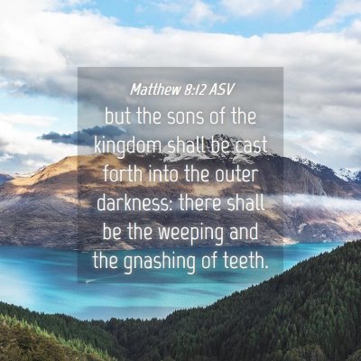 Picture 04 - Matthew 8:12 ASV - but the sons of the kingdom shall be cast forth - Bible Verse Picture