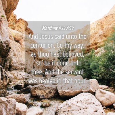 Picture 04 - Matthew 8:13 ASV - And Jesus said unto the centurion, Go thy way; as - Bible Verse Picture