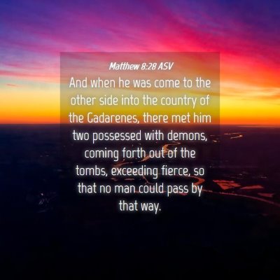 Picture 04 - Matthew 8:28 ASV - And when he was come to the other side into the - Bible Verse Picture