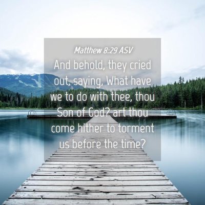 Picture 04 - Matthew 8:29 ASV - And behold, they cried out, saying, What have we - Bible Verse Picture