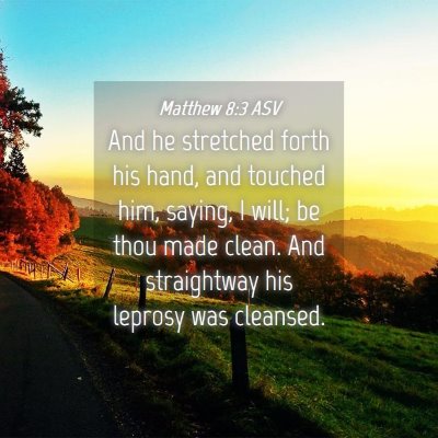 Picture 04 - Matthew 8:3 ASV - And he stretched forth his hand, and touched him, - Bible Verse Picture