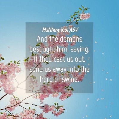 Picture 04 - Matthew 8:31 ASV - And the demons besought him, saying, If thou cast - Bible Verse Picture