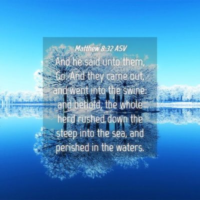 Picture 04 - Matthew 8:32 ASV - And he said unto them, Go. And they came out, and - Bible Verse Picture
