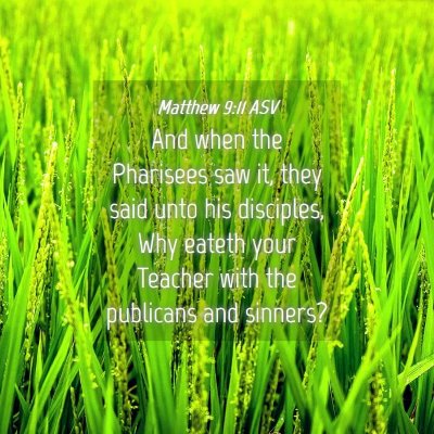 Picture 04 - Matthew 9:11 ASV - And when the Pharisees saw it, they said unto his - Bible Verse Picture