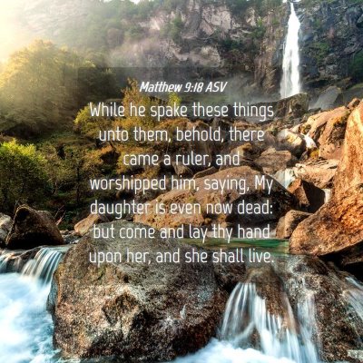 Picture 04 - Matthew 9:18 ASV - While he spake these things unto them, behold, - Bible Verse Picture