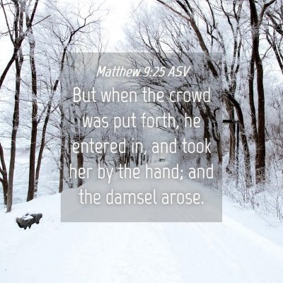 Picture 04 - Matthew 9:25 ASV - But when the crowd was put forth, he entered in, - Bible Verse Picture