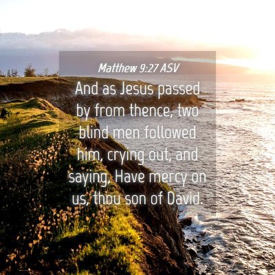 Picture 04 - Matthew 9:27 ASV - And as Jesus passed by from thence, two blind men - Bible Verse Picture