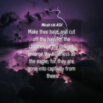 Picture 04 - Micah 1:16 ASV - Make thee bald, and cut off thy hair for the - Bible Verse Picture