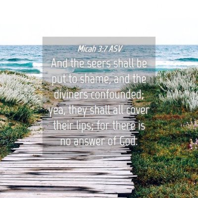 Picture 04 - Micah 3:7 ASV - And the seers shall be put to shame, and the - Bible Verse Picture