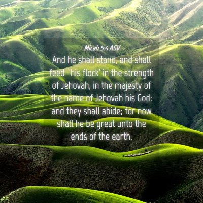Picture 04 - Micah 5:4 ASV - And he shall stand, and shall feed `his flock' in - Bible Verse Picture