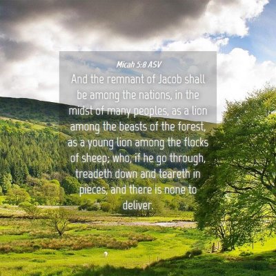 Picture 04 - Micah 5:8 ASV - And the remnant of Jacob shall be among the - Bible Verse Picture
