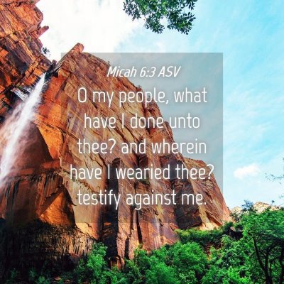Picture 04 - Micah 6:3 ASV - O my people, what have I done unto thee? and - Bible Verse Picture