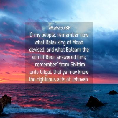 Picture 04 - Micah 6:5 ASV - O my people, remember now what Balak king of Moab - Bible Verse Picture