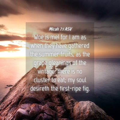 Picture 04 - Micah 7:1 ASV - Woe is me! for I am as when they have gathered - Bible Verse Picture