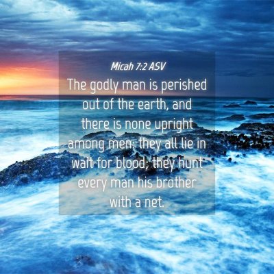Picture 04 - Micah 7:2 ASV - The godly man is perished out of the earth, and - Bible Verse Picture