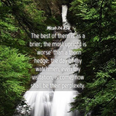 Picture 04 - Micah 7:4 ASV - The best of them is as a brier; the most upright - Bible Verse Picture