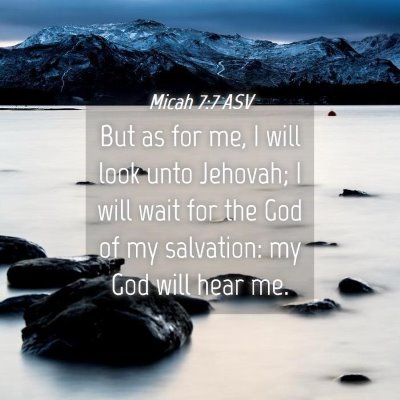 Picture 04 - Micah 7:7 ASV - But as for me, I will look unto Jehovah; I will - Bible Verse Picture