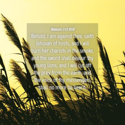 Picture 04 - Nahum 2:13 ASV - Behold, I am against thee, saith Jehovah of - Bible Verse Picture