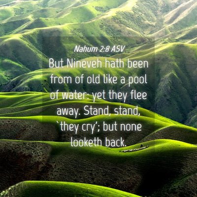 Picture 04 - Nahum 2:8 ASV - But Nineveh hath been from of old like a pool of - Bible Verse Picture