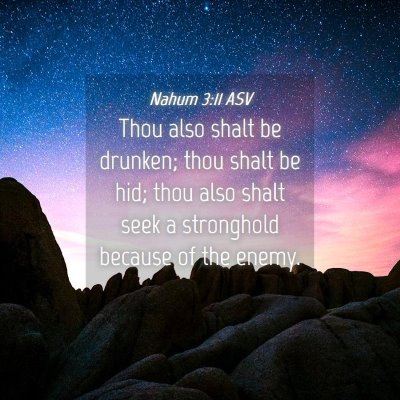 Picture 04 - Nahum 3:11 ASV - Thou also shalt be drunken; thou shalt be hid; - Bible Verse Picture