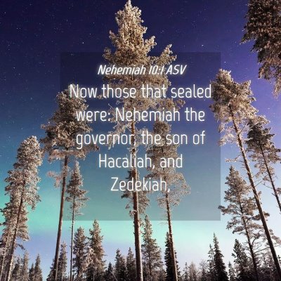 Picture 04 - Nehemiah 10:1 ASV - Now those that sealed were: Nehemiah the - Bible Verse Picture