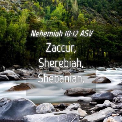 Picture 04 - Nehemiah 10:12 ASV - Zaccur, Sherebiah, - Bible Verse Picture