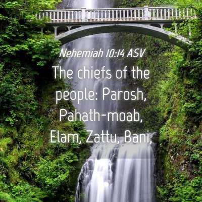 Picture 04 - Nehemiah 10:14 ASV - The chiefs of the people: Parosh, Pahath-moab, - Bible Verse Picture