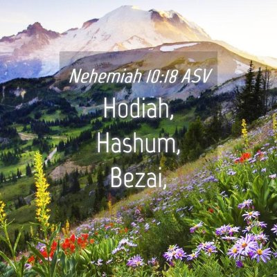 Picture 04 - Nehemiah 10:18 ASV - Hodiah, Hashum, - Bible Verse Picture