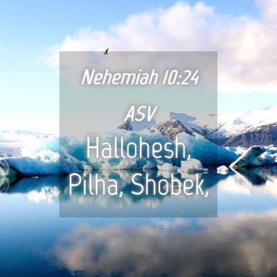Picture 04 - Nehemiah 10:24 ASV - Hallohesh, Pilha, - Bible Verse Picture
