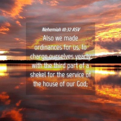 Picture 04 - Nehemiah 10:32 ASV - Also we made ordinances for us, to charge - Bible Verse Picture