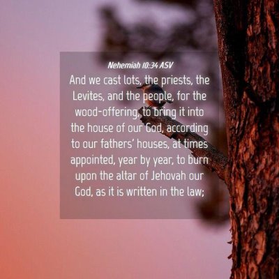 Picture 04 - Nehemiah 10:34 ASV - And we cast lots, the priests, the Levites, and - Bible Verse Picture