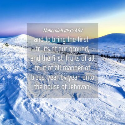 Picture 04 - Nehemiah 10:35 ASV - and to bring the first-fruits of our ground, and - Bible Verse Picture