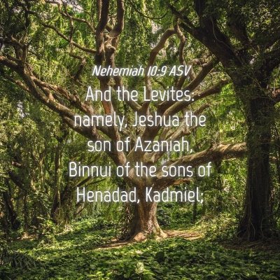 Picture 04 - Nehemiah 10:9 ASV - And the Levites: namely, Jeshua the son of - Bible Verse Picture