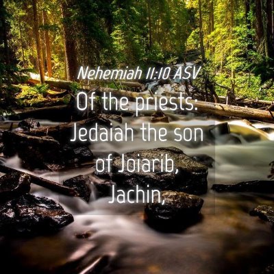Picture 04 - Nehemiah 11:10 ASV - Of the priests: Jedaiah the son of Joiarib, - Bible Verse Picture