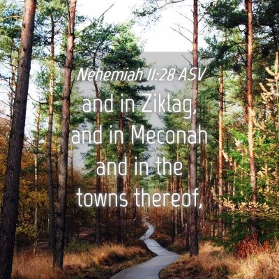 Picture 04 - Nehemiah 11:28 ASV - and in Ziklag, and in Meconah and in the towns - Bible Verse Picture