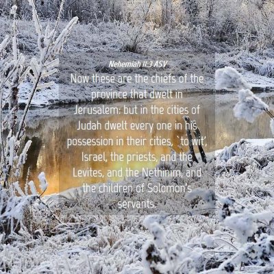 Picture 04 - Nehemiah 11:3 ASV - Now these are the chiefs of the province that - Bible Verse Picture