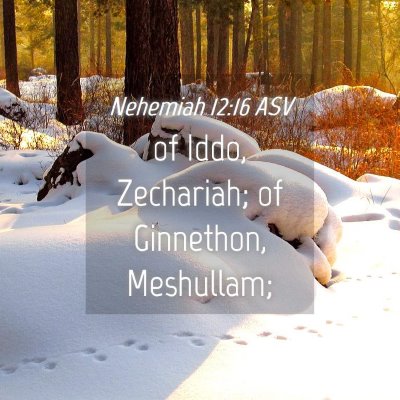 Picture 04 - Nehemiah 12:16 ASV - of Iddo, Zechariah; of Ginnethon, - Bible Verse Picture