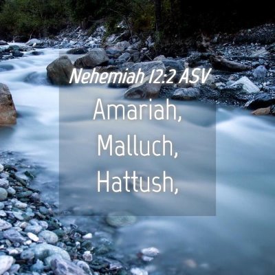 Picture 04 - Nehemiah 12:2 ASV - Amariah, Malluch, - Bible Verse Picture