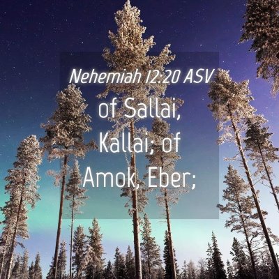 Picture 04 - Nehemiah 12:20 ASV - of Sallai, Kallai; of Amok, - Bible Verse Picture
