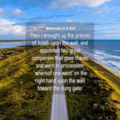 Picture 04 - Nehemiah 12:31 ASV - Then I brought up the princes of Judah upon the - Bible Verse Picture