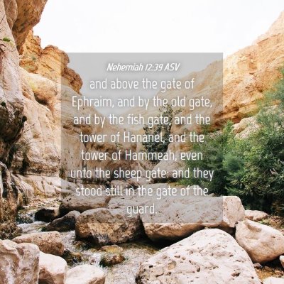 Picture 04 - Nehemiah 12:39 ASV - and above the gate of Ephraim, and by the old - Bible Verse Picture