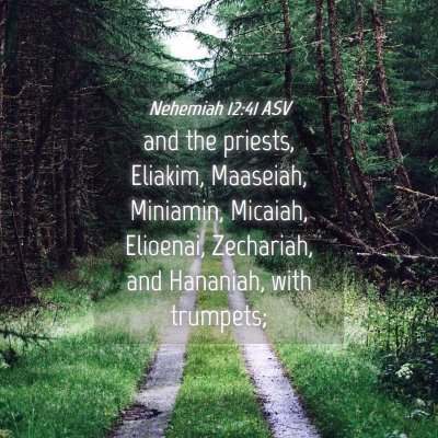 Picture 04 - Nehemiah 12:41 ASV - and the priests, Eliakim, Maaseiah, Miniamin, - Bible Verse Picture