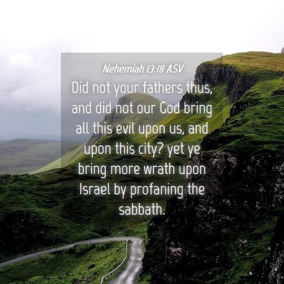 Picture 04 - Nehemiah 13:18 ASV - Did not your fathers thus, and did not our God - Bible Verse Picture