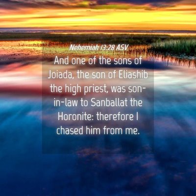 Picture 04 - Nehemiah 13:28 ASV - And one of the sons of Joiada, the son of - Bible Verse Picture
