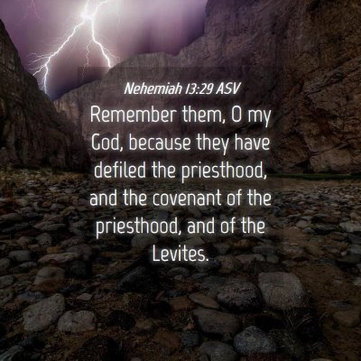 Picture 04 - Nehemiah 13:29 ASV - Remember them, O my God, because they have - Bible Verse Picture