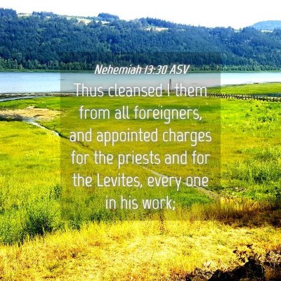 Picture 04 - Nehemiah 13:30 ASV - Thus cleansed I them from all foreigners, and - Bible Verse Picture