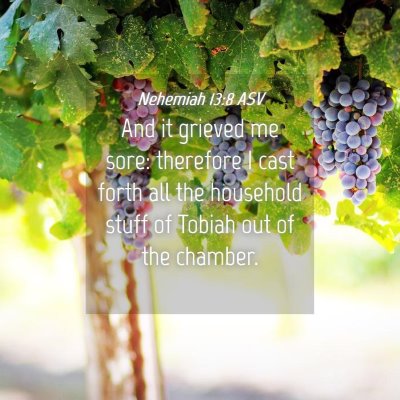 Picture 04 - Nehemiah 13:8 ASV - And it grieved me sore: therefore I cast forth - Bible Verse Picture