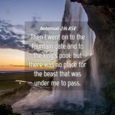 Picture 04 - Nehemiah 2:14 ASV - Then I went on to the fountain gate and to the - Bible Verse Picture
